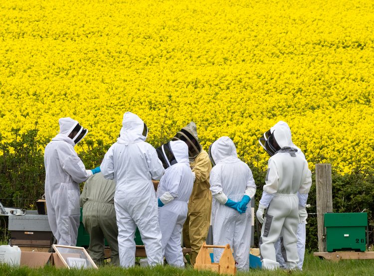 OpenHive x Windyridge Beekeeping Experience -  27th April 2024