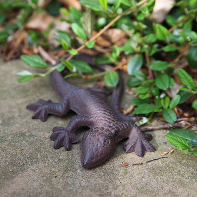 Lizard 15.5Cm - Home & Living - Windyridge Garden Centre