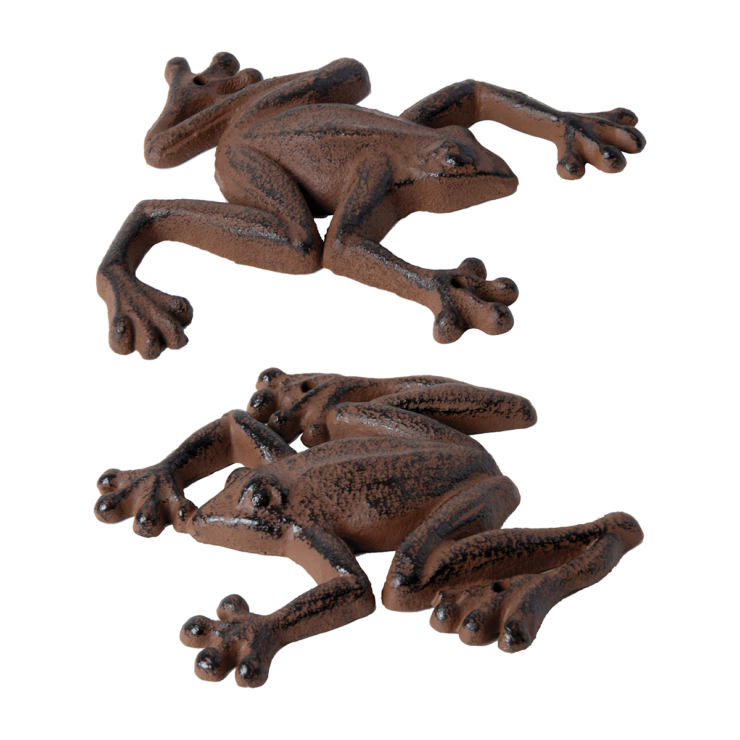 Frog Wall decoration
