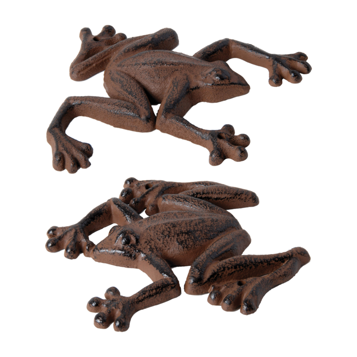 Frog Wall decoration