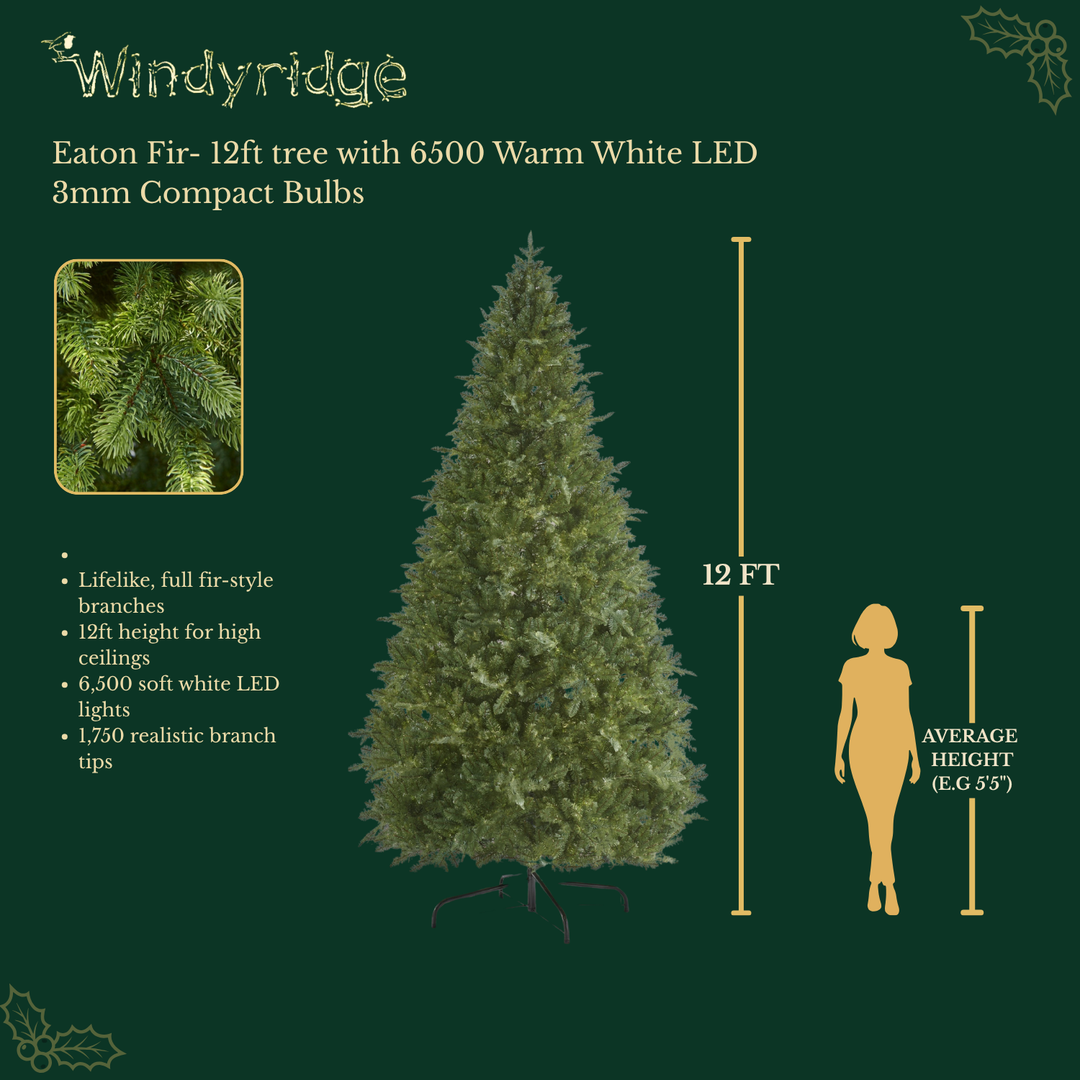 Eaton Fir Artificial Christmas Tree with 6500 Warm White Compact LEDs - 12 ft