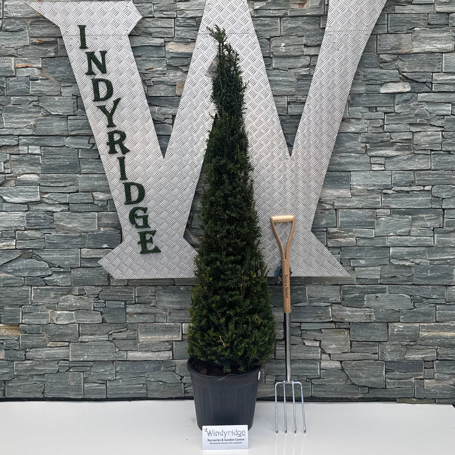 Decorative stone letters spelling 'WINDYRIDGE' on a stone pathway with a plant and sign.