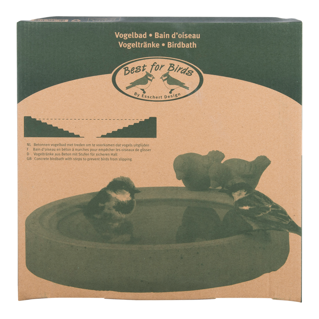 Bird bath concrete L