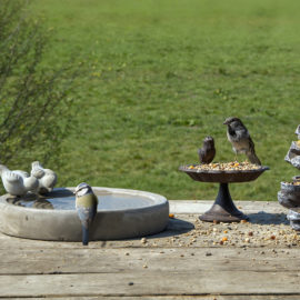 Bird bath concrete L