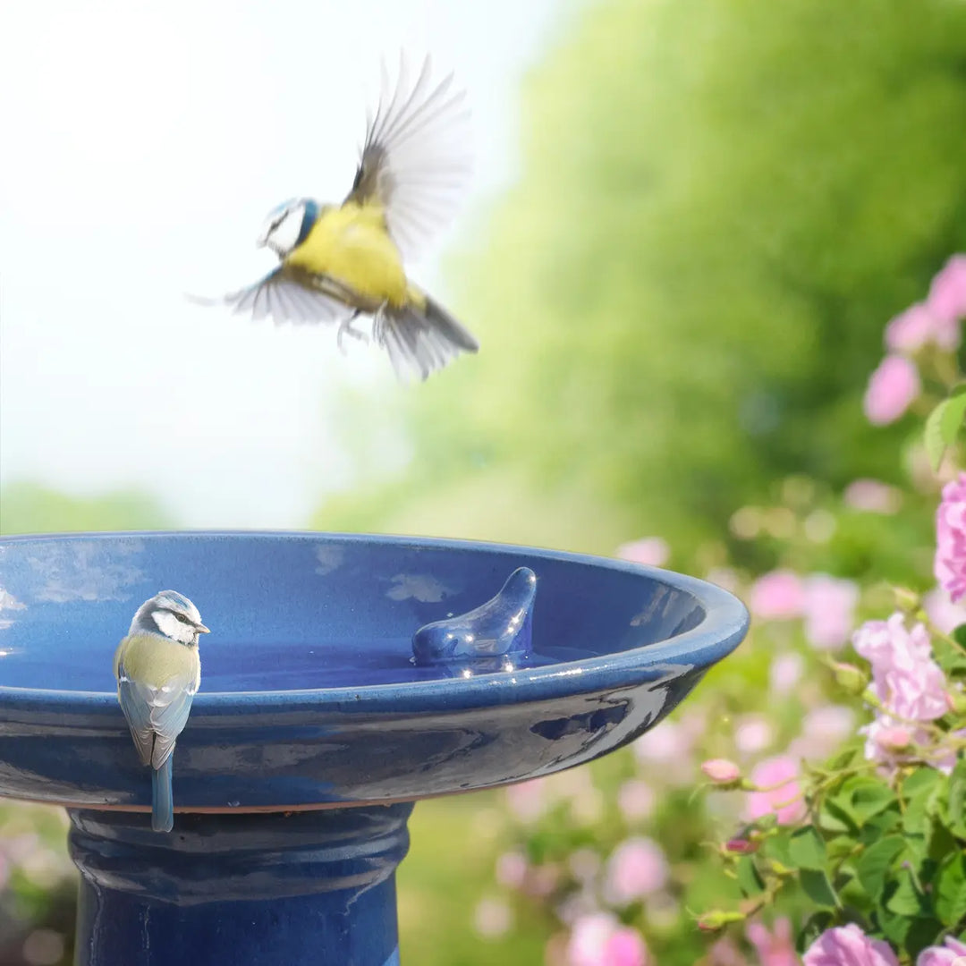 Bird bath ceramic on foot petrol