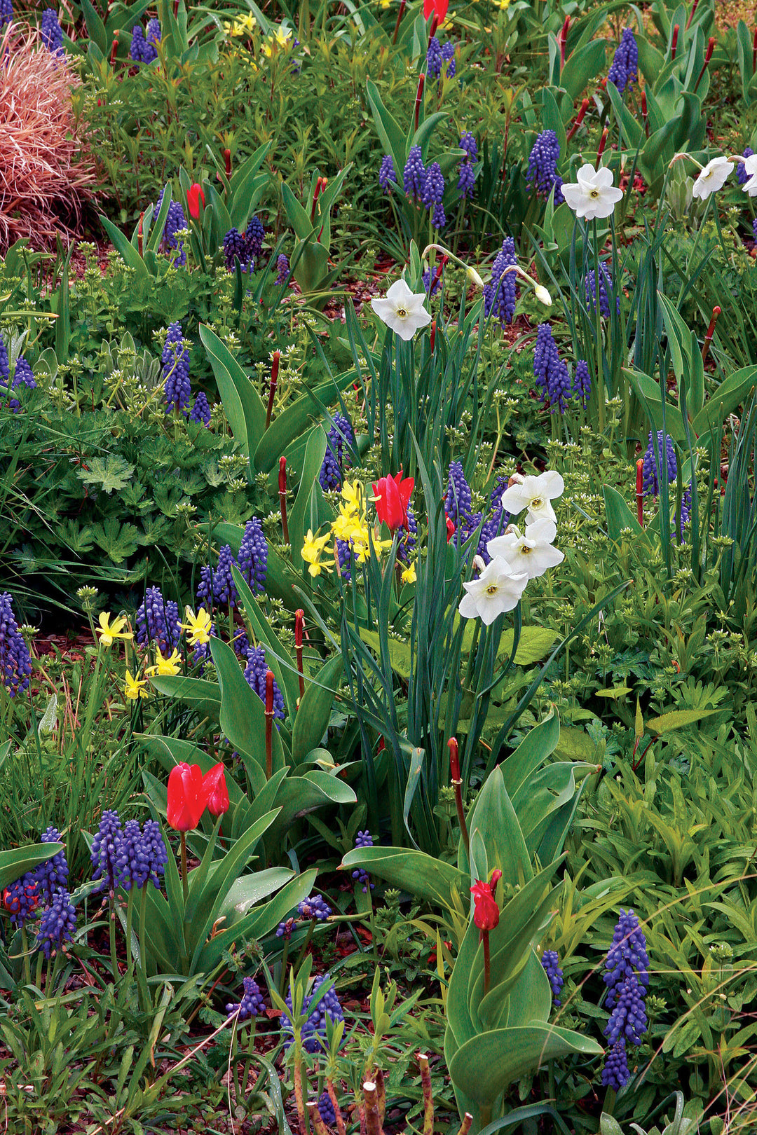 PLANT-O-MAT EASY FIRST GARDEN BRIGHT x 30