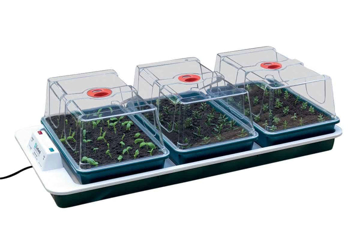 Propagator Big 3 Electric - Tools & Equipment - Windyridge Garden Centre