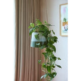 Blue & Green Hanging Pot 12.5cm