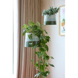 Blue & Green Hanging Pot 12.5cm