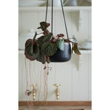 Sahara Sunset Medium Hanging Pot 
