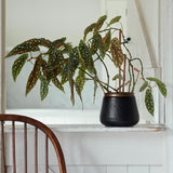 Sahara Sunset Medium Plant Pot