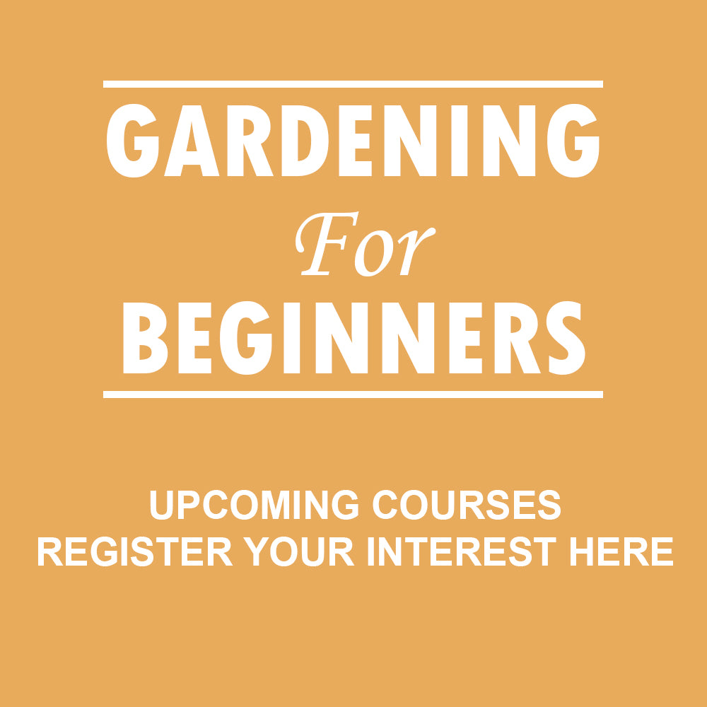 Gardening for Beginners