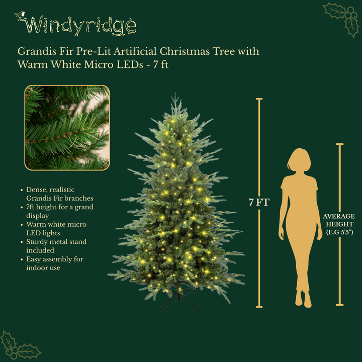 Grandis Fir Pre-Lit Artificial Christmas Tree with Warm White Micro LEDs - 7 ft / 210 cm