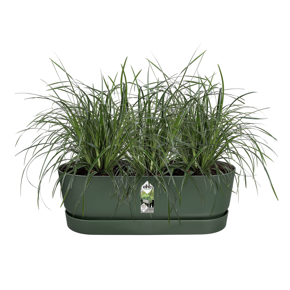 Greenville Easy Balcony Trough 52cm Leaf Green