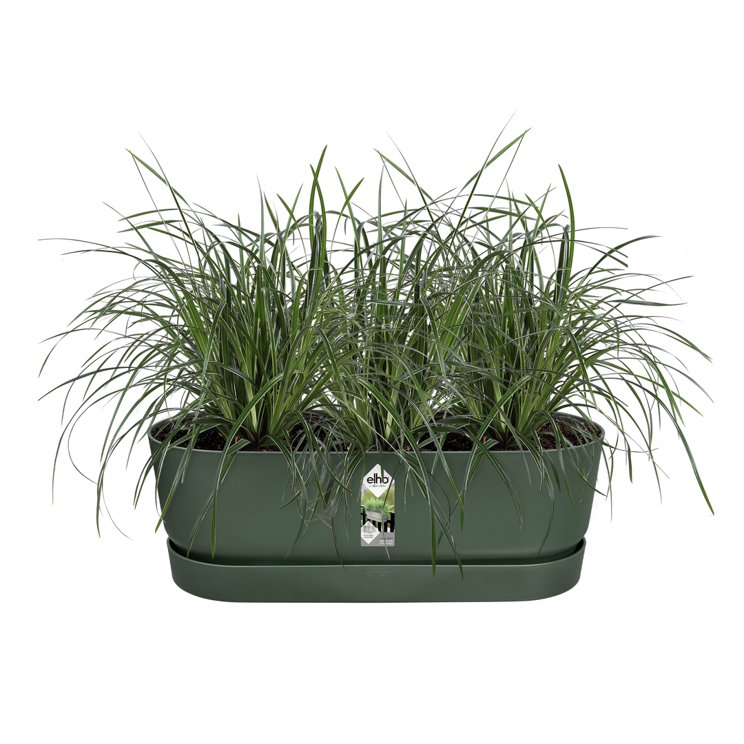 Greenville Easy Balcony Trough 52cm Leaf Green