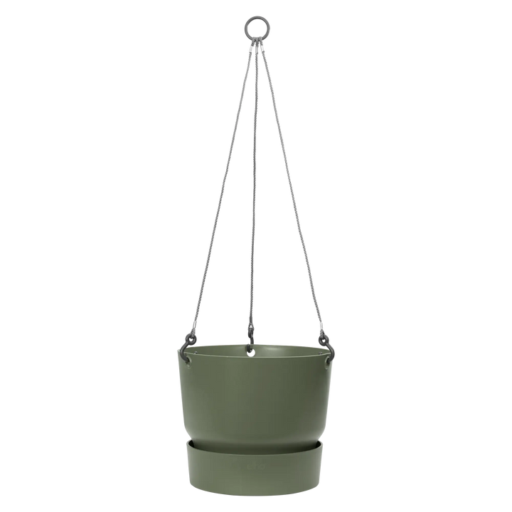 Greenville Hanging Basket 24Cm Leaf Green - Pots - Windyridge Garden Centre