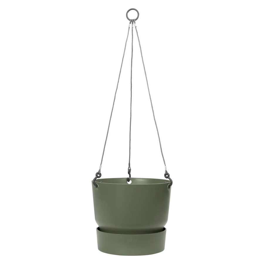 Greenville Hanging Basket 24Cm Leaf Green - Pots - Windyridge Garden Centre