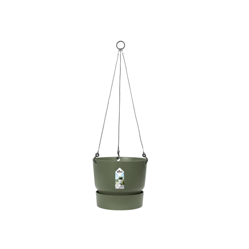 Greenville Hanging Basket 24Cm Leaf Green - Pots - Windyridge Garden Centre