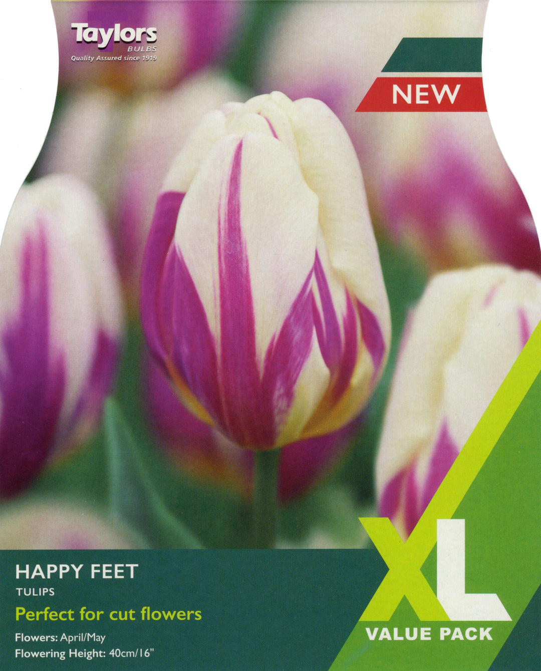 18 TULIP HAPPY FEET XL