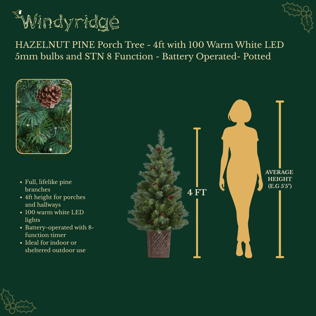 Hazelnut Pine Potted Porch Artificial Christmas Tree with 100 Warm White LEDs (8 Functions) - 4 ft