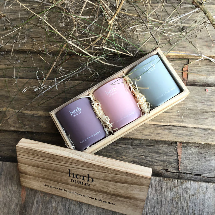 HERB PASTEL TRIO
