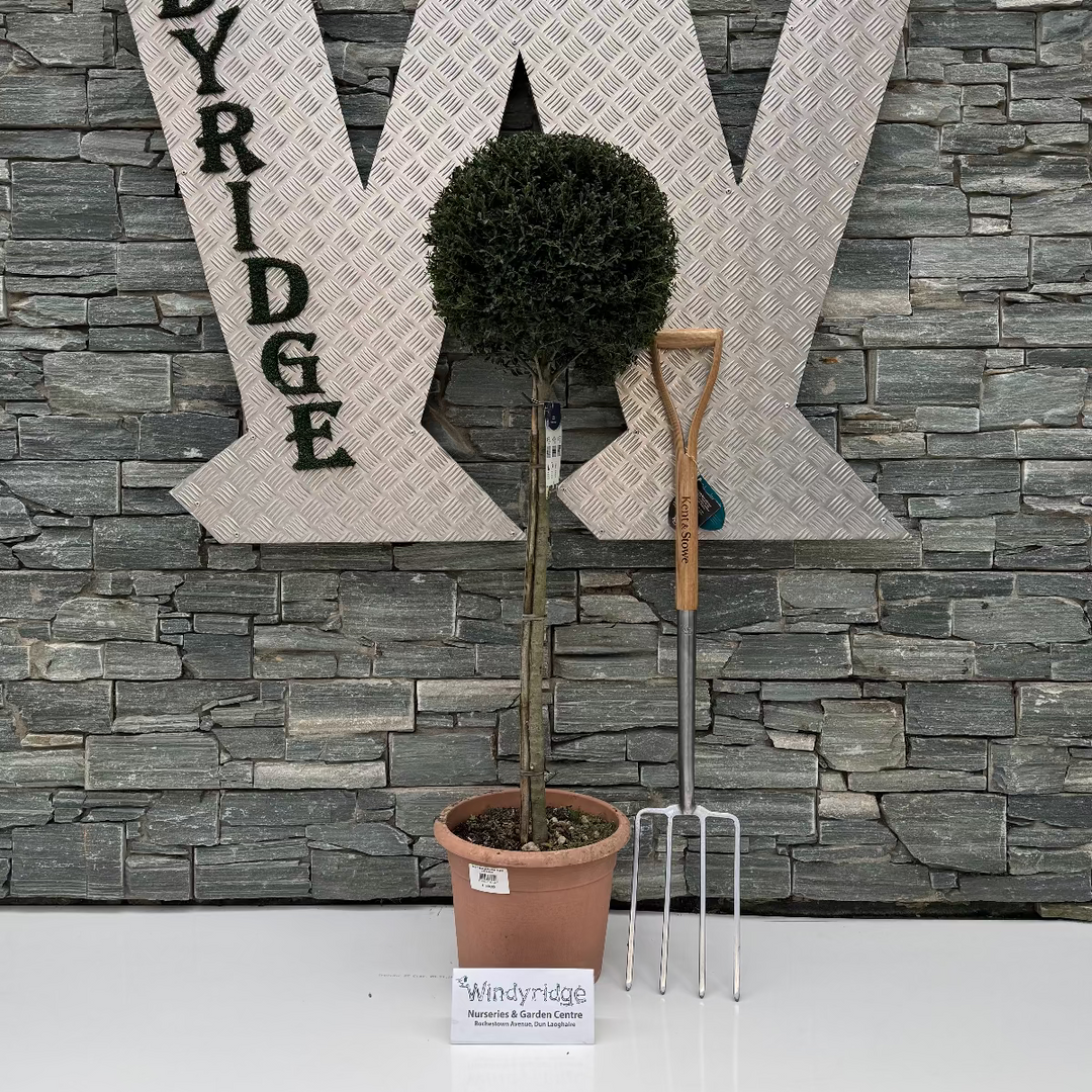 Decorative letters 'W' and 'Y' with a plant and gardening tool against a stone wall, featuring the brand 'Windyridge'.