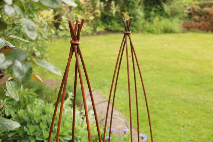 Willow style obelisk rust - Trellis - Windyridge Garden Centre
