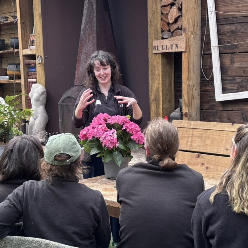 Windyridge Gardening for Beginners Tuesday Morning 10am (6 Week Course starts 21st July 2026)