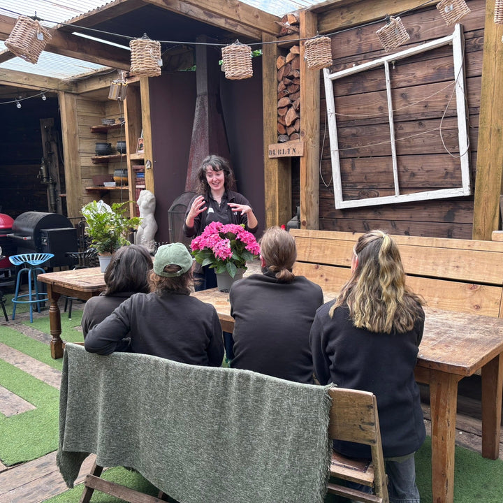 Windyridge Gardening for Beginners 2026 Sunday Morning 10am (6 Week Course starts 13th September 2026)