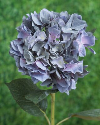 Artificial Hydrangea-Dusky Blue
