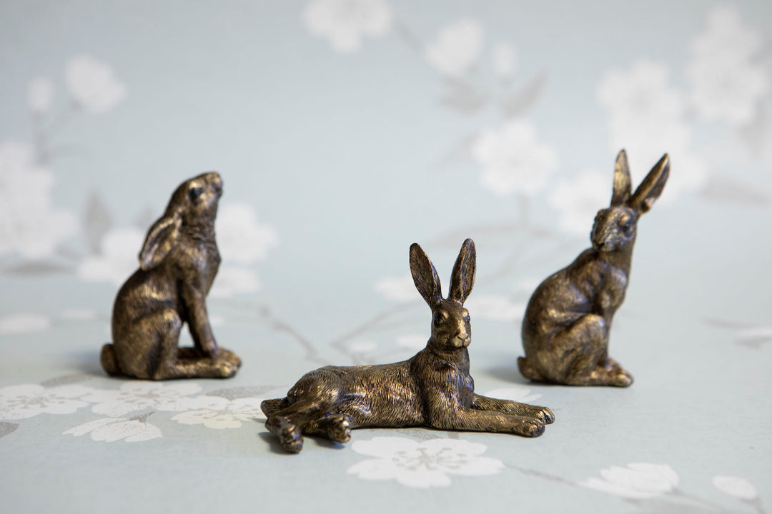 Mini Hare