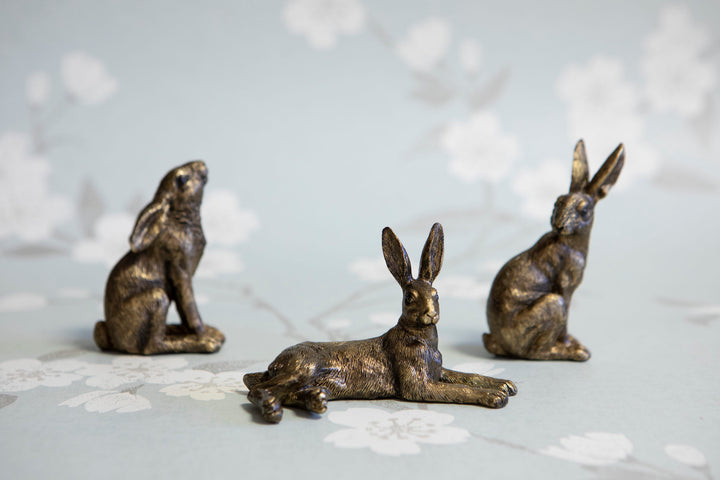 Mini Hare