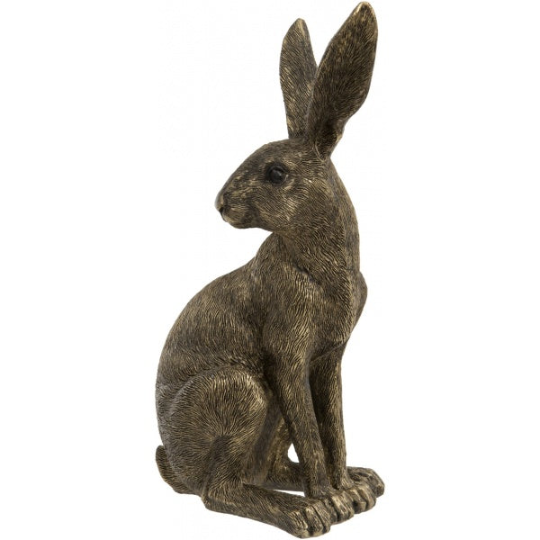 Sitting Golden Hare