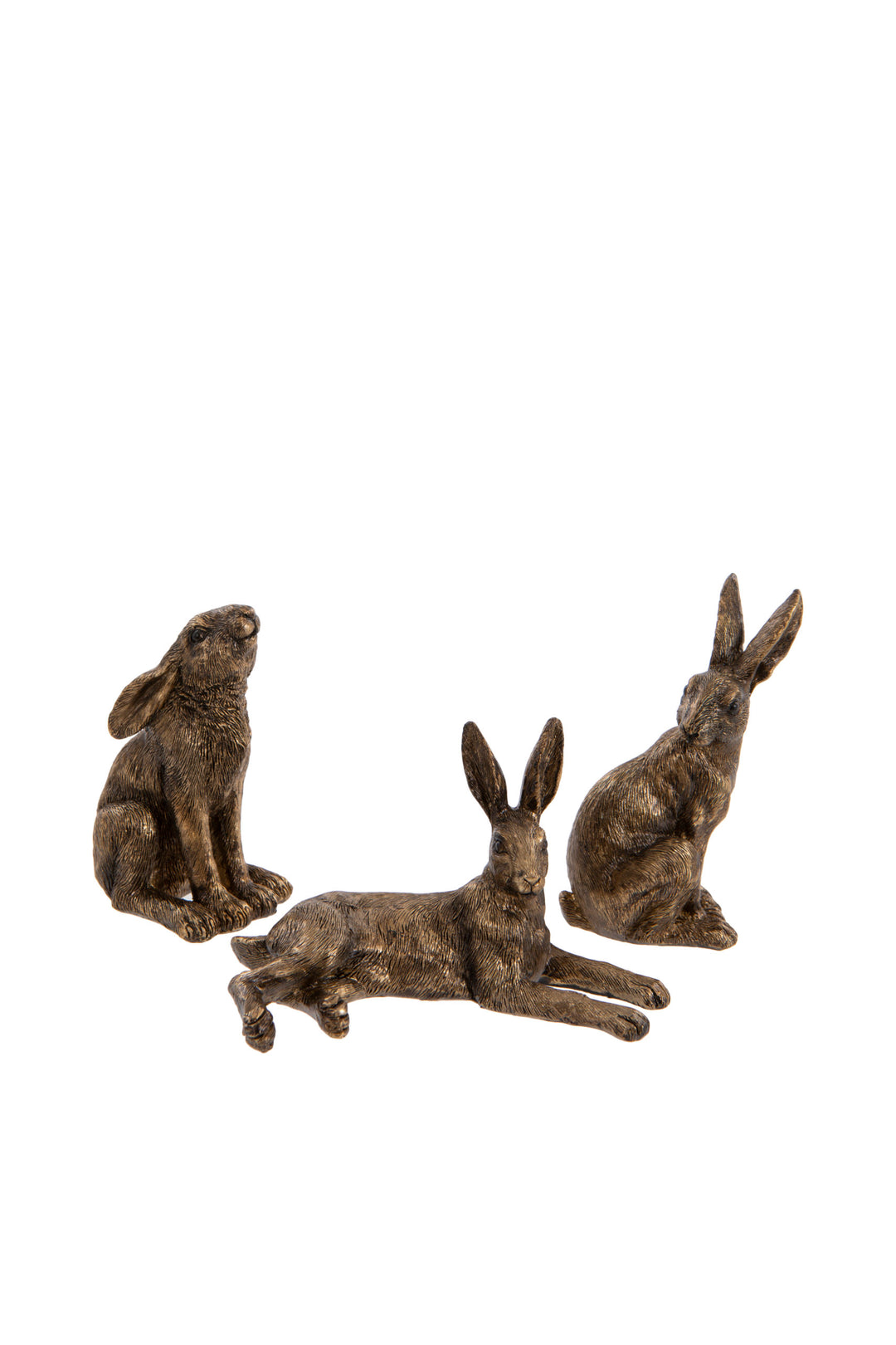 Mini Hare
