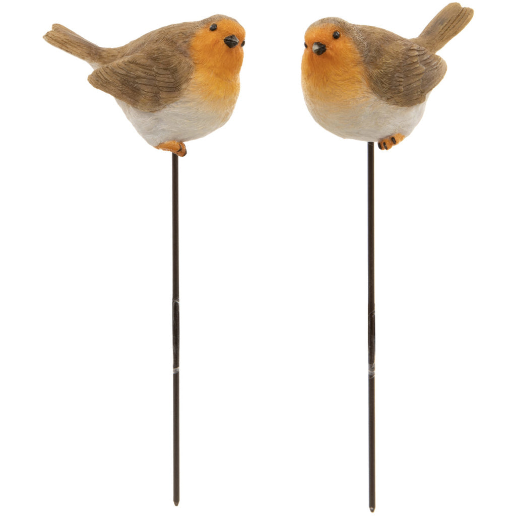 Robins on Stake