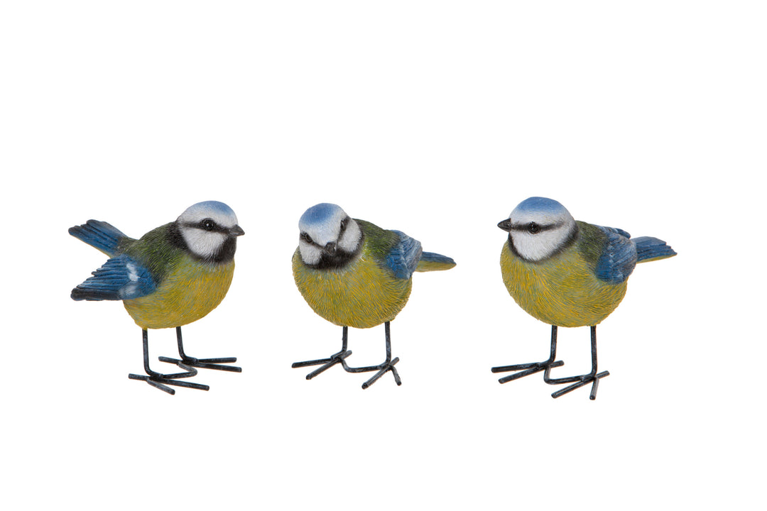 Blue Tits