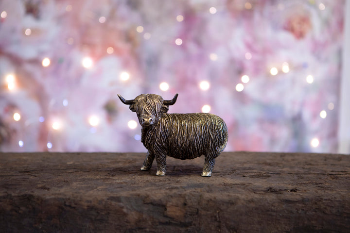 Highland Cow