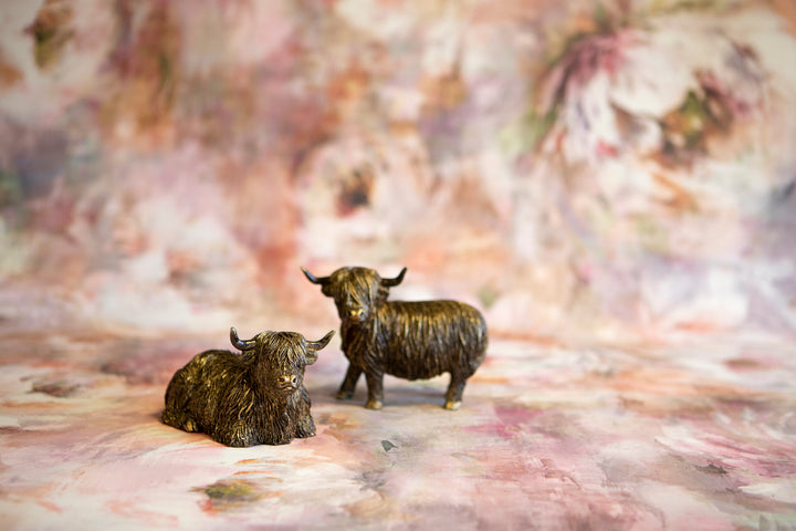 Highland Cow