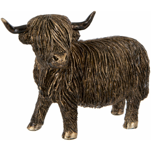 Highland Cow