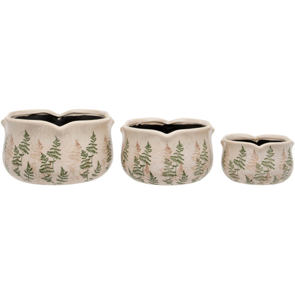 Round Scallop Pot Fern