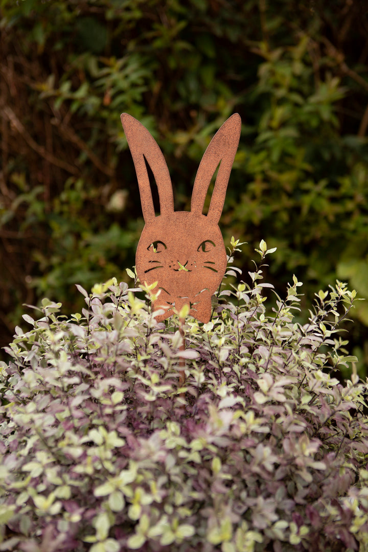 Bunny on Stake
