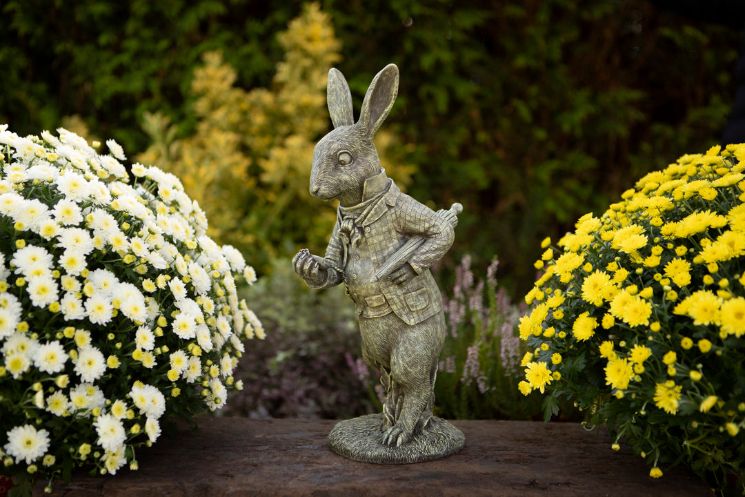 White Rabbit – Windyridge Garden Centre
