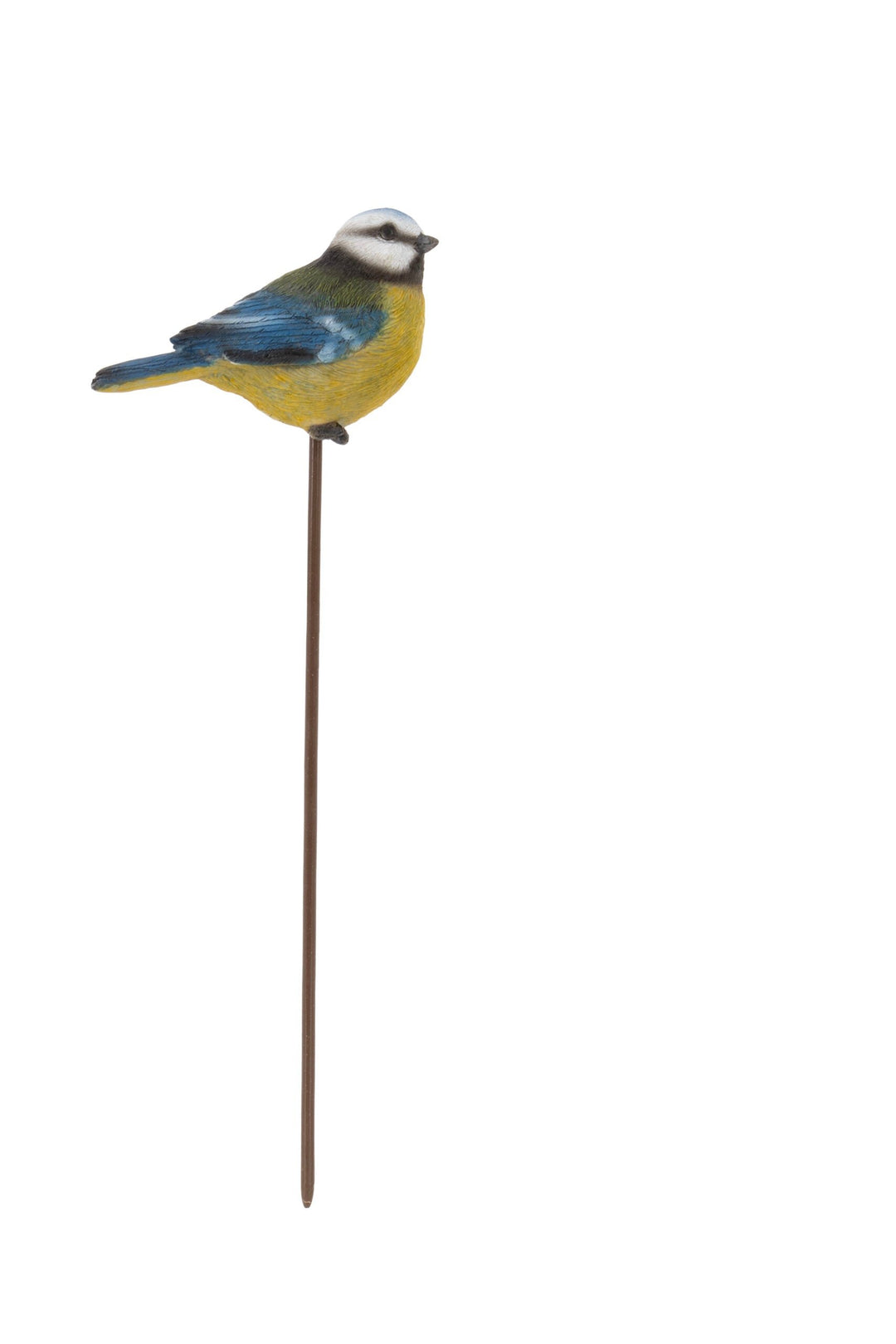 Blue Tit on Stake
