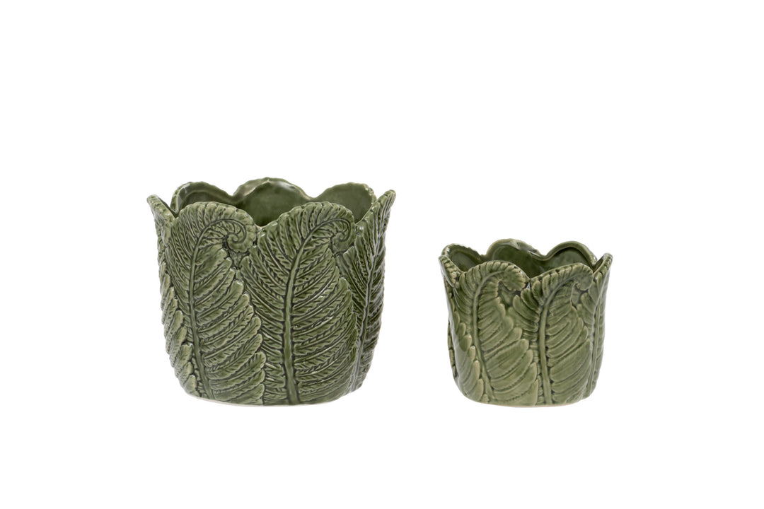Evergreen Pot S