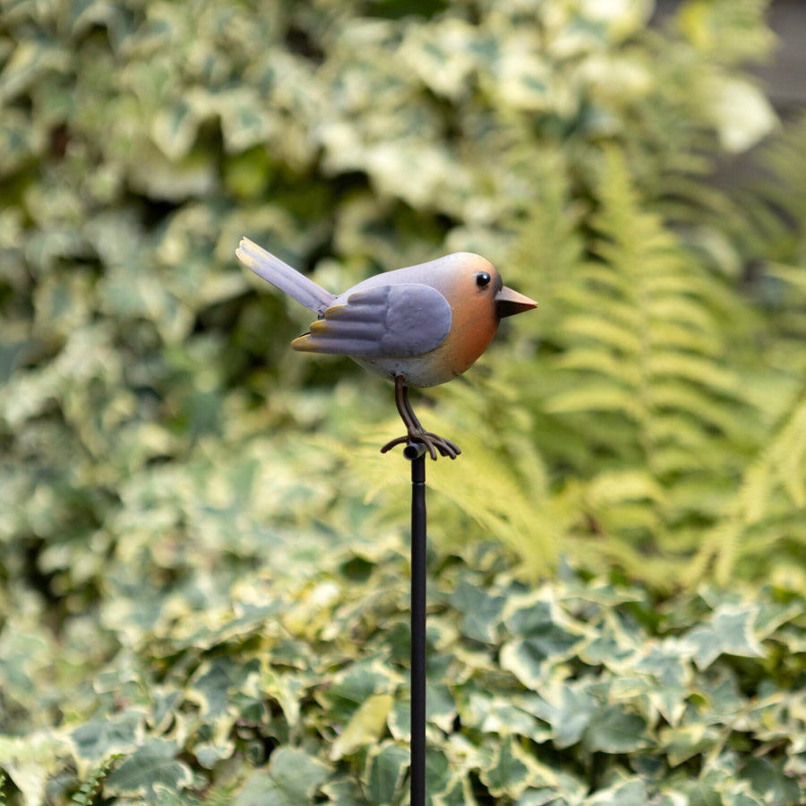 Stick Rabin Robin Stick – Windyridge Garden Centre