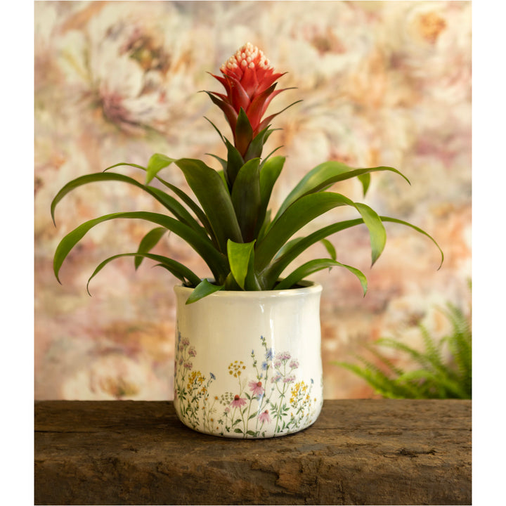 Springtime Pot L Ø17cm x H16cm