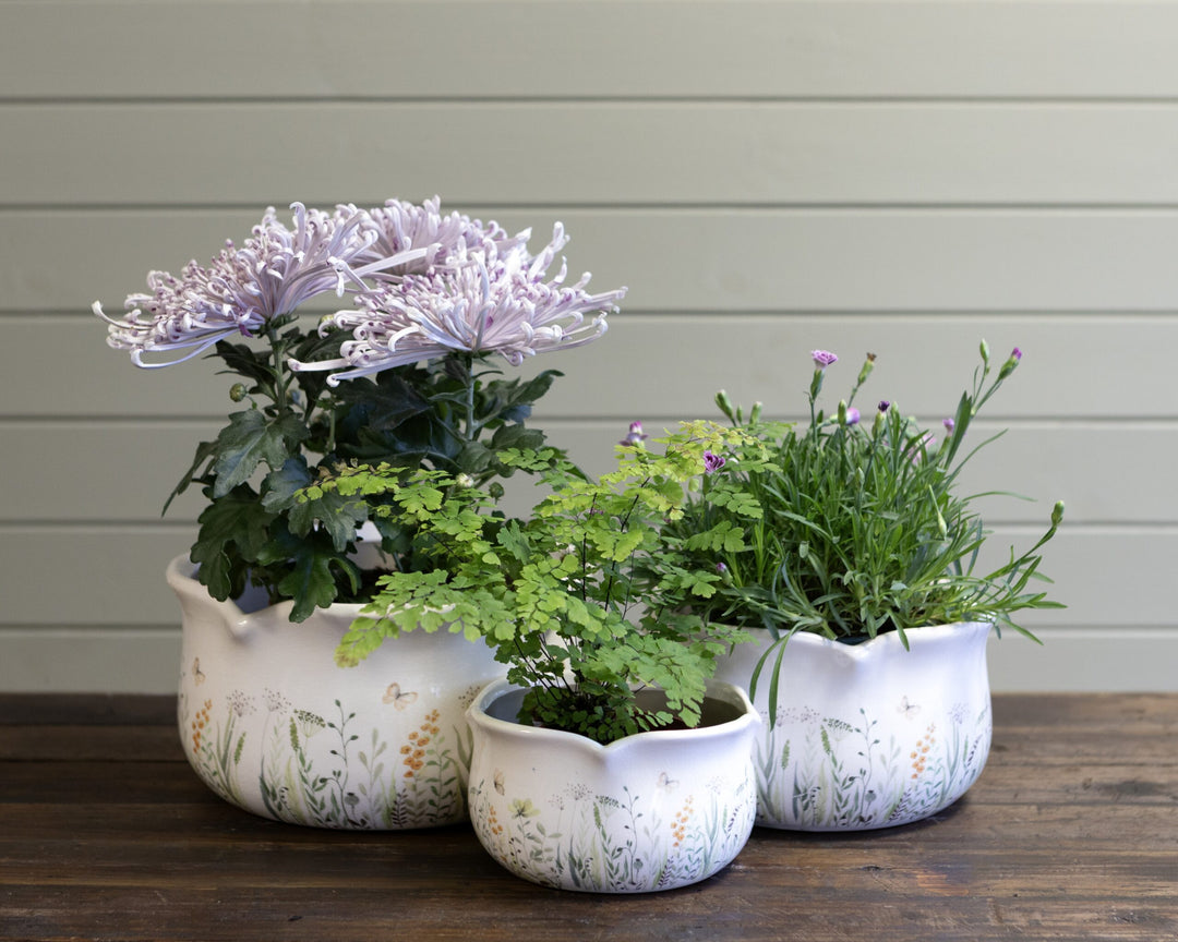 Round Scallop Verdant S Ø16Cm X H9Cm - Pots - Windyridge Garden Centre