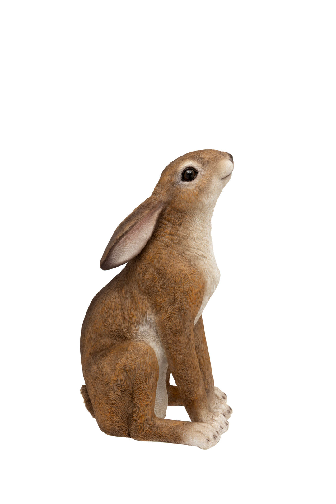 Brown Gazing Hare - Easter - Windyridge Garden Centre