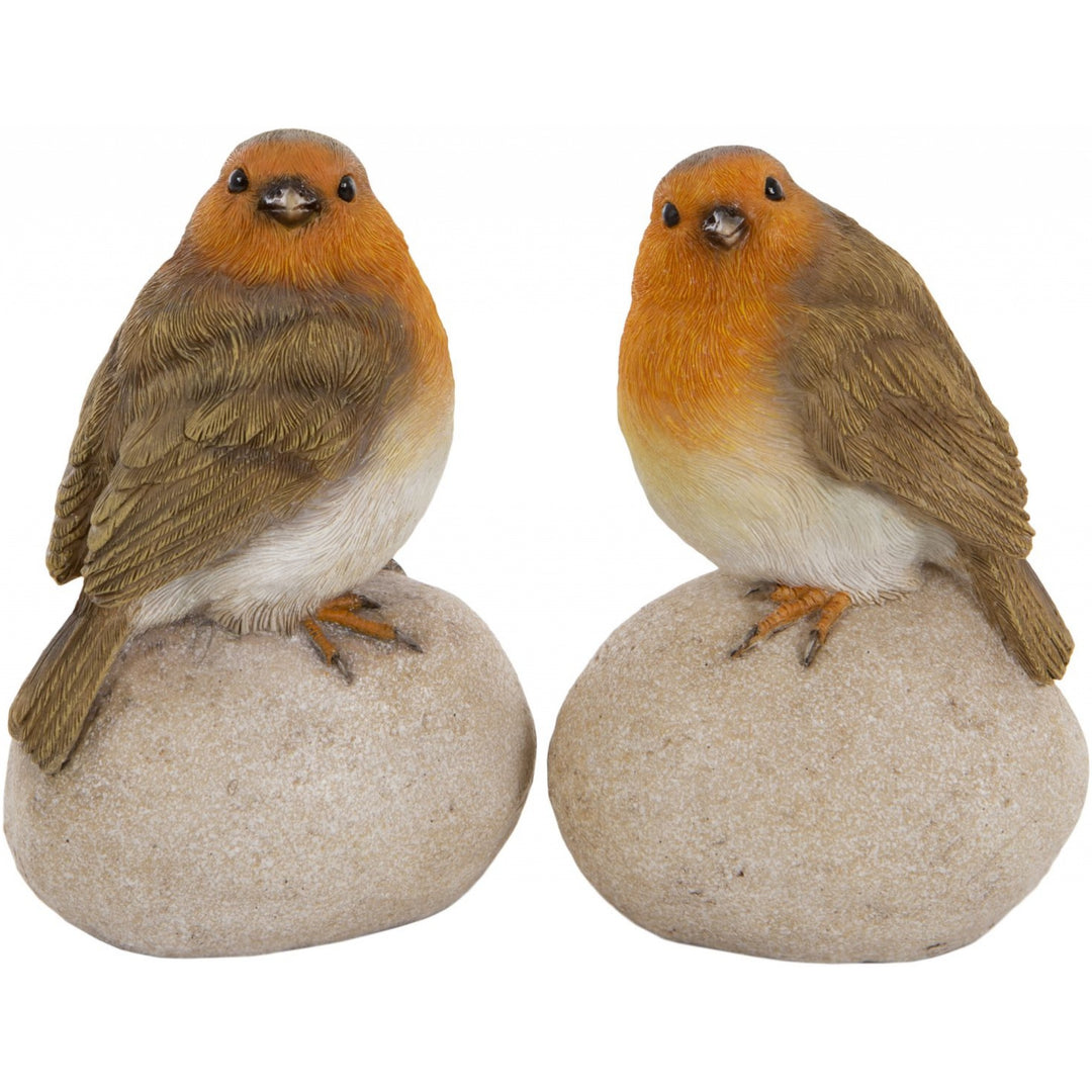 Robins on Stone