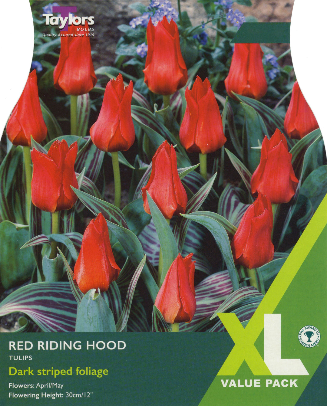 70 TULIP RED RIDING HOOD BULK VALUE Net